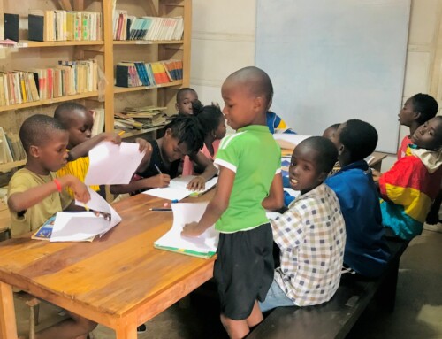 Togo. Biblionef et Fondacio Togo. 1000 livres pour « Une bibliothèque pour 1000 horizons ».