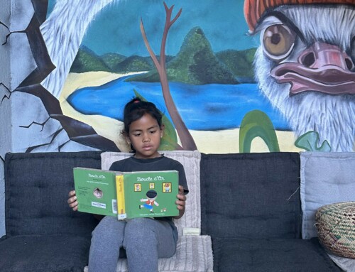 Madagascar : 3200 livres pour renforcer l’accès au livre grâce à un partenariat durable entre Biblionef et le réseau des Alliances françaises